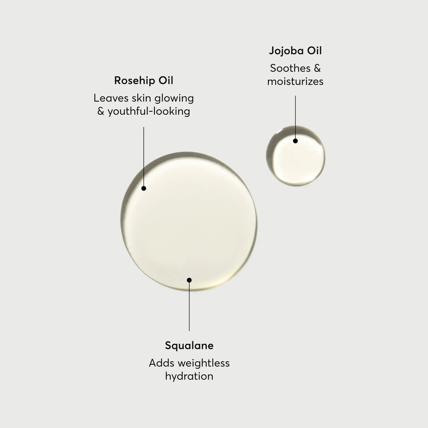 the-glow-getter-body-oil-l8 NATR-10115-Alt-Images-The-Glow-Getter-Body-Oil-01.webp