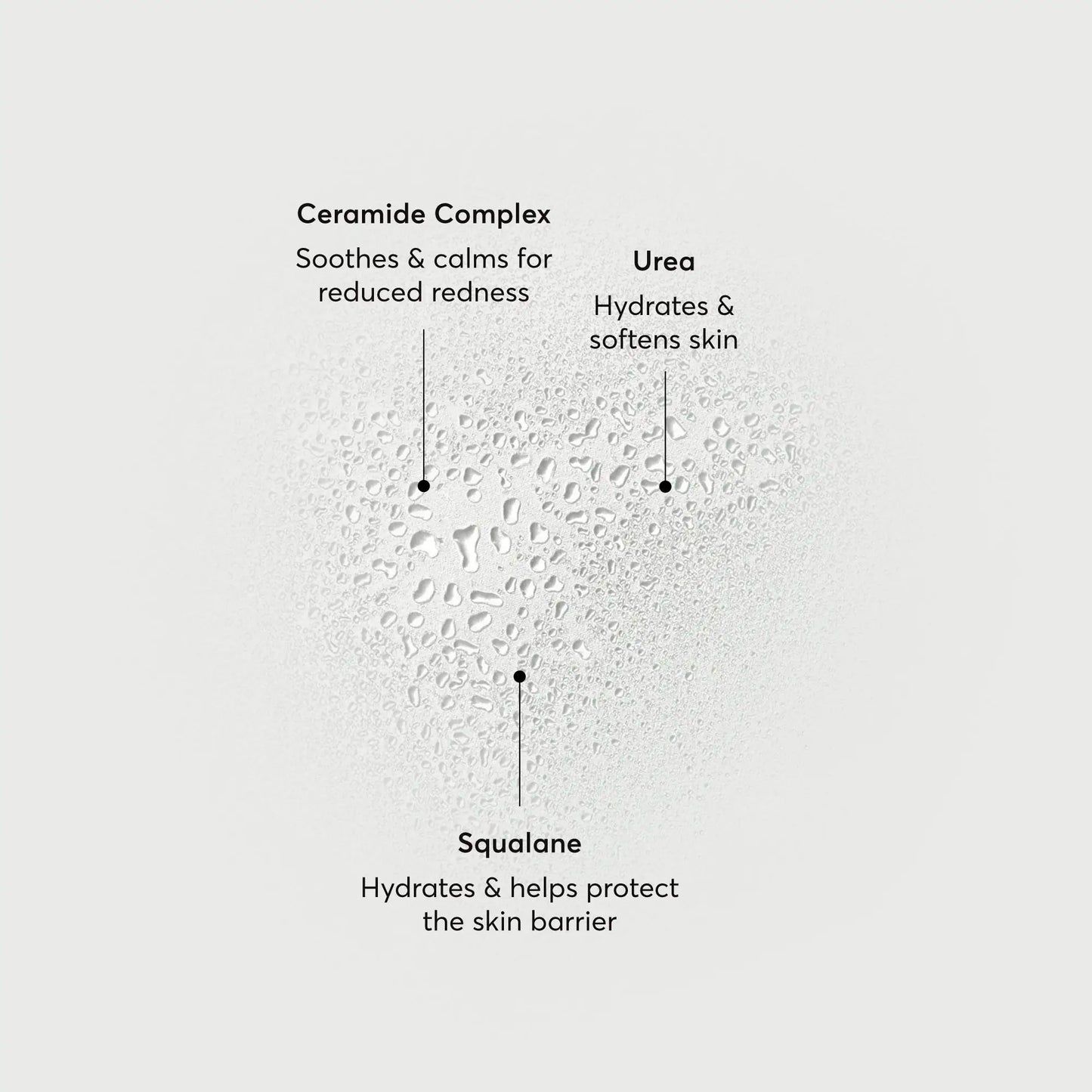 barrier-bounce-bi-phase-mist-w8 NATR-10167-Alt-Images-Barrier-Bounce-Bi-Phase-Toner-Mist_01.webp