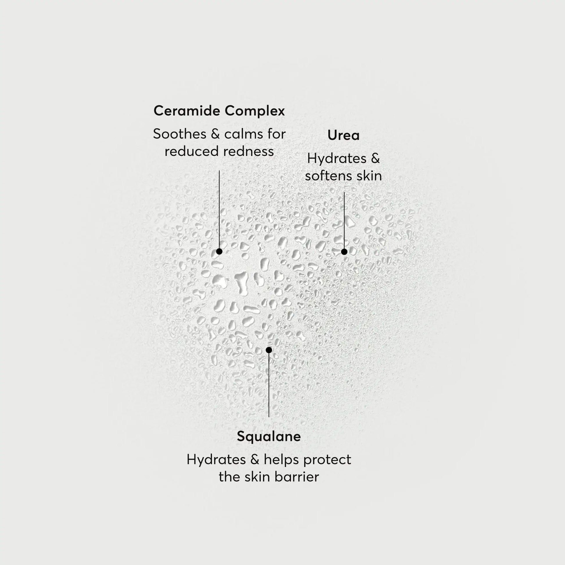 barrier-bounce-bi-phase-mist-w8 NATR-10167-Alt-Images-Barrier-Bounce-Bi-Phase-Toner-Mist_01.webp