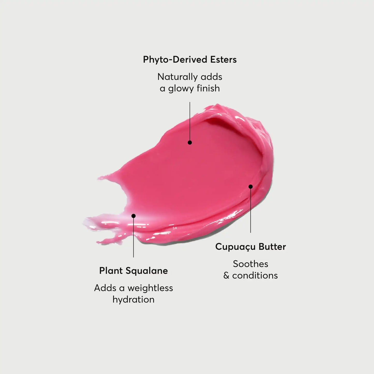 phyto-glow-lip-balm-camellia-e7 NATR-60075-Alt-Images-Phyto-Glow-Lip-Balm-Camellia-01.webp